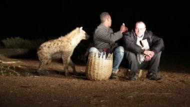 kimliği belirsiz turist gece çölde sırtlan besleme