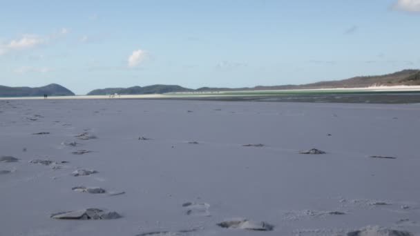 Szenische Aufnahmen Des Schönen Sandstrandes — Stockvideo