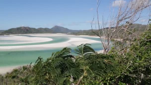 Güzel Okyanus Plaj Avustralya — Stok video