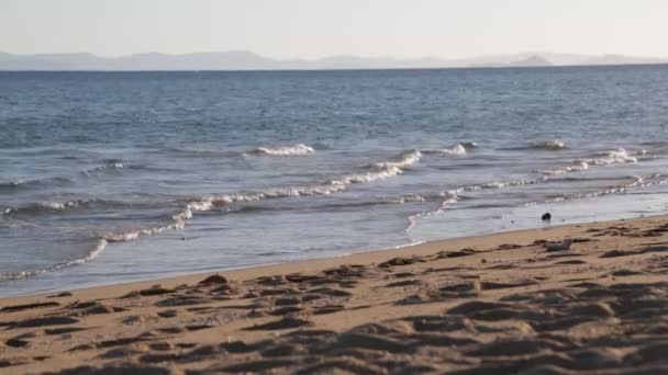 美丽的海洋和海滩在澳大利亚 — 图库视频影像