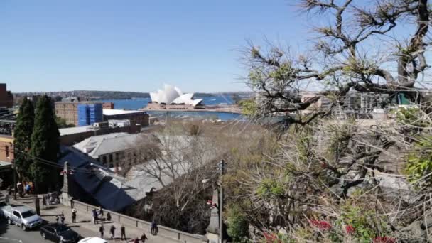 Teatro Dell Opera Skyline Sydney — Video Stock