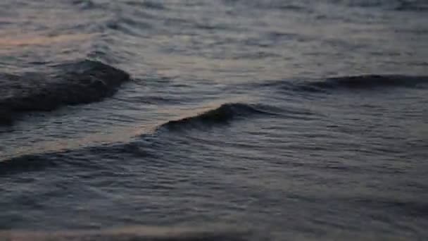 在澳大利亚 在金色太阳的海洋反射中放松的概念 — 图库视频影像