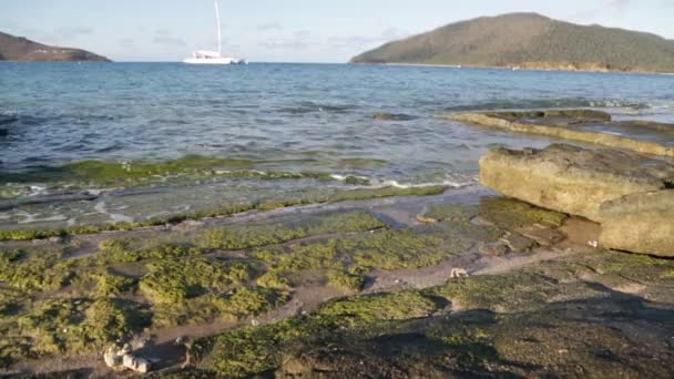 Katamarán Óceán Közelében Beach Ausztrália — Stock videók