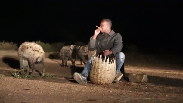 Unidentified Tourist Feeding Hyena Night — Stock Video