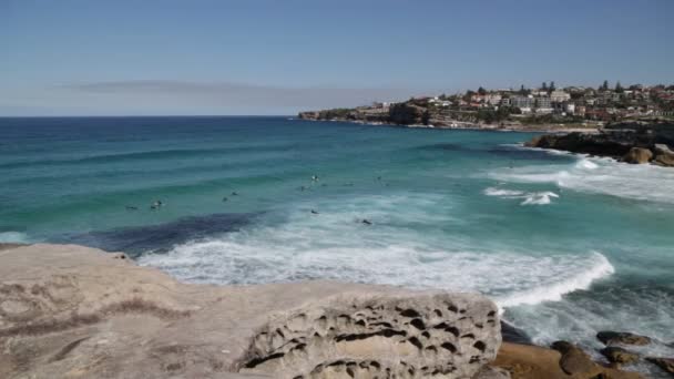 Touristen Ruhen Sich Strand Aus Und Surfen Auf Dem Ozean — Stockvideo