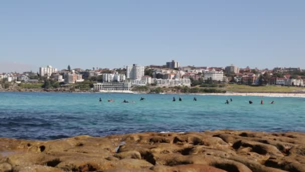 Touristen Ruhen Sich Strand Aus Und Surfen Auf Dem Ozean — Stockvideo