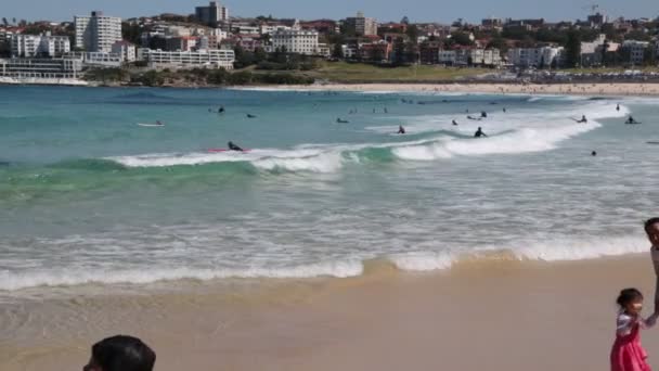游客休息在海滩上和冲浪在澳大利亚的海洋 — 图库视频影像