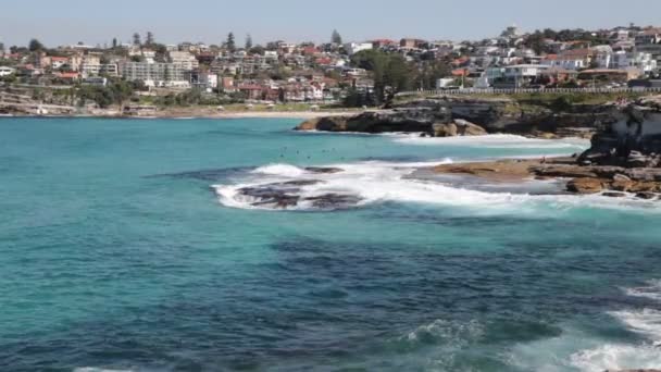 Turistas Descansando Playa Surfeando Océano Australia — Vídeo de stock