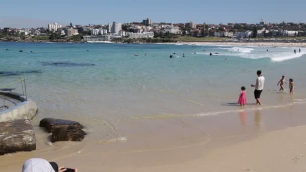 在澳大利亚的海滩游客和冲浪者 — 图库视频影像