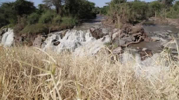 Inundado Parque Nacional Cai Natureza Selvagem Etiópia África — Vídeo de Stock