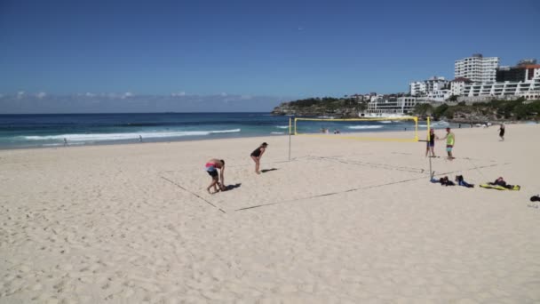 Люди Грають Волейбол Піщаному Пляжі — стокове відео