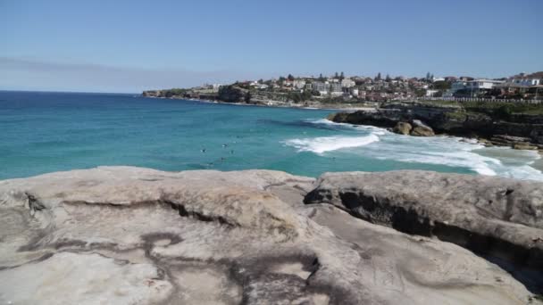 Turistas Descansando Playa Surfeando Océano Australia — Vídeo de stock