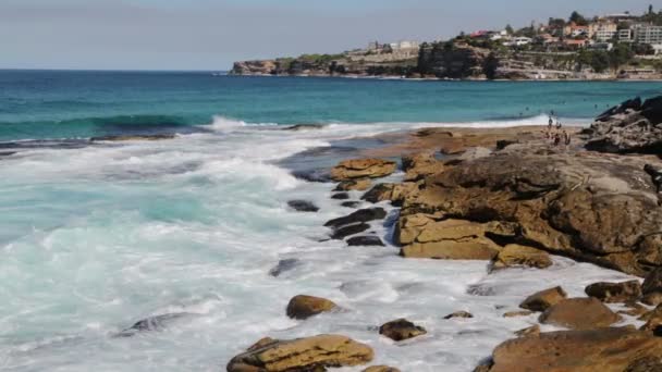 Australië Toeristische Strand Surfer — Stockvideo