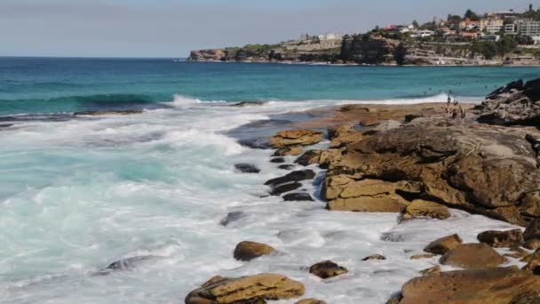 Austrália Turista Praia Surfista — Vídeo de Stock