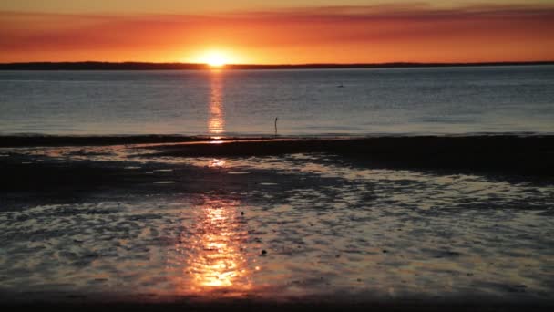 Hermoso Atardecer Sobre Océano Australia — Vídeo de stock