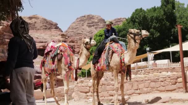 Mensen Kamelen Buurt Van Petra Jordanië — Stockvideo