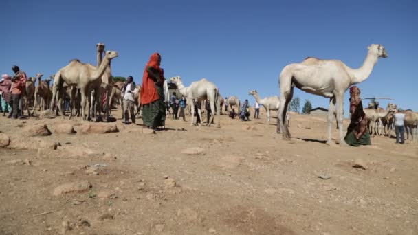 Ethiopië Babile Circa December 2017 Niet Geïdentificeerde Mensen Markt Van — Stockvideo