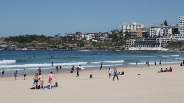 Austrálii Turistických Pláží Surfař — Stock video