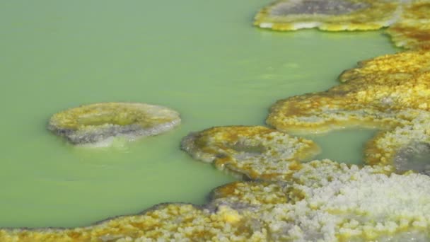 绿色硫磺充满池塘的镜头 达洛尔 埃塞俄比亚 非洲的火山凹陷 — 图库视频影像