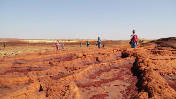 Vista Panorâmica Pessoas Não Identificadas Caminhando Danakil — Vídeo de Stock