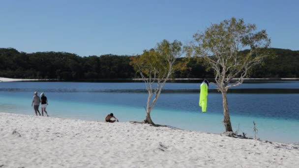 Turistas Descansando Lago Mckenzie Austrália — Vídeo de Stock