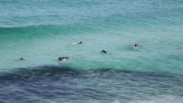 Okyanusta Avustralya Sörfçü — Stok video