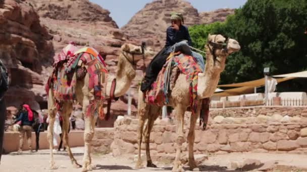 Άνθρωποι Καμήλες Κοντά Στην Πέτρα Ιορδανία — Αρχείο Βίντεο
