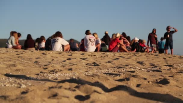 Vacker Utsikt Över Oidentifierade Personer Har Fest Sandstrand — Stockvideo