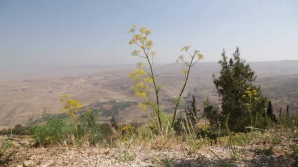 Красивый Вид Долину Голан Иордании — стоковое видео