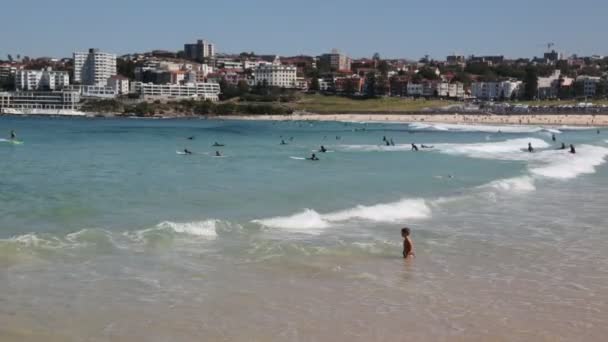 Turystów Odpoczynku Plaży Surfing Ocean Australii — Wideo stockowe