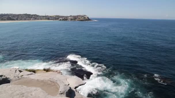 Austrália Turista Praia Surfista — Vídeo de Stock