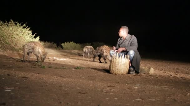 Turista Identificado Alimentando Hiena Desierto Nocturno — Vídeo de stock