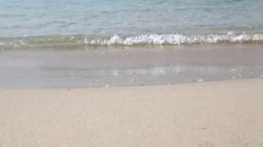 okyanus dalgaları ve kumlu plaj manzarası