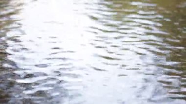 nehir veya gölün dalgalı su yüzeyinin sakin görüntüleri