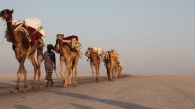 Doğal görünümü gündüz sırasında çölde kimliği belirsiz kişi ve deve karavan