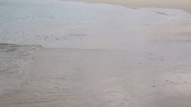 okyanus dalgaları ve kumlu plaj manzarası