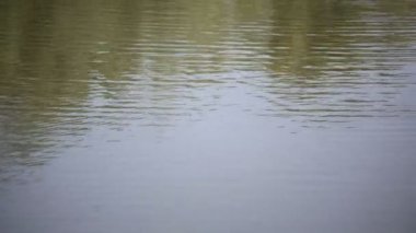 nehir veya gölün dalgalı su yüzeyinin sakin görüntüleri