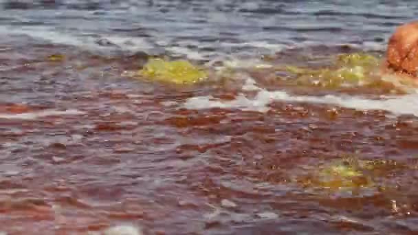 Lac Negru Apă Fierbinte Clocotită — Videoclip de stoc