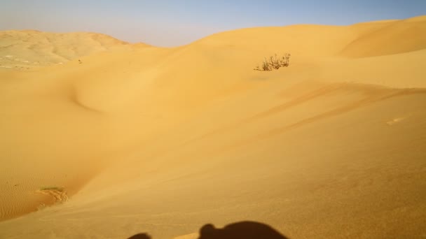 Sand deset dune in oman and abstract movement of the wind — Stock Video