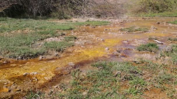 Imagens Pequeno Rio Fluindo Depressão Vulcânica Dallol Etiópia África — Vídeo de Stock