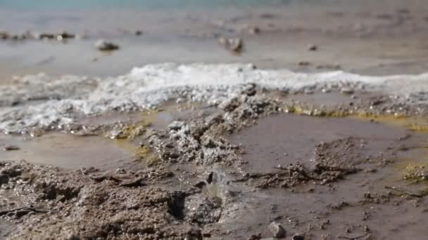 Nahaufnahmen Von Kochendem Wasser Danakil Äthiopien Afrika — Stockvideo