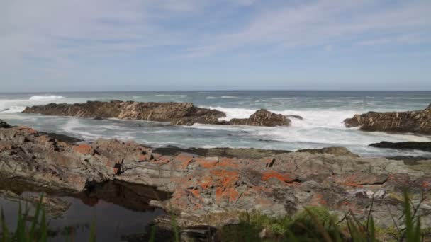 Séquences Panoramiques Réserve Tsitsikamma Afrique Sud — Video