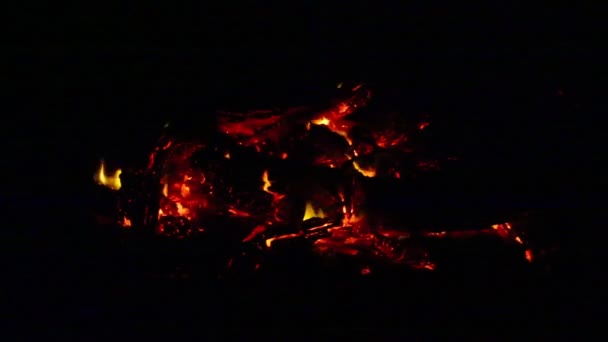篝火与橙色的火焰在黑暗的夜晚 — 图库视频影像