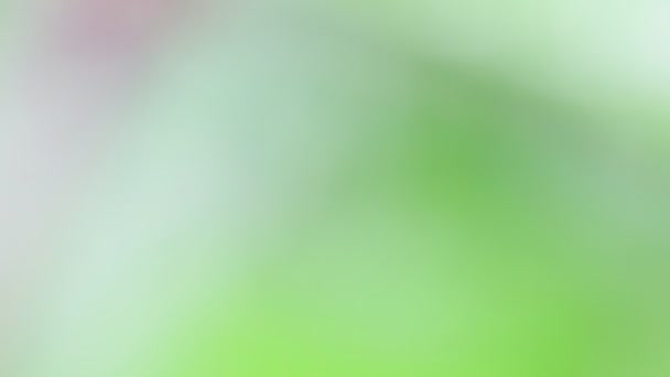 Абстрактная Размытая Текстура Цветка Зеленой Травы — стоковое видео