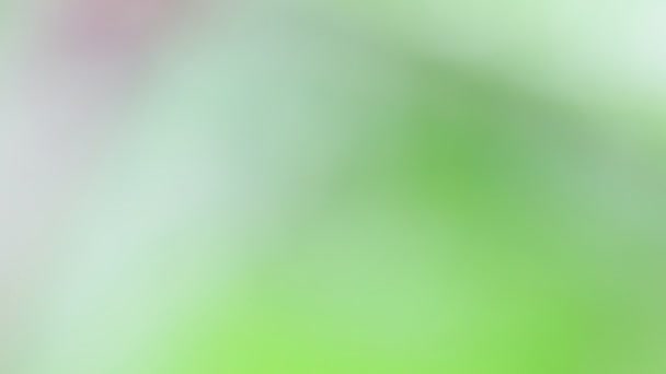 texture floue abstraite de fleur et d'herbe verte 