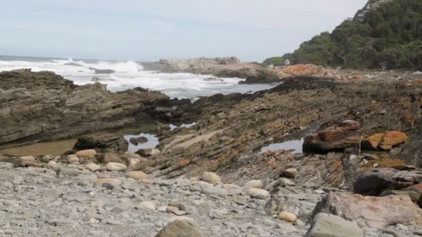 Festői Felvétel Tsitsikamma Reserve Dél Afrikai Köztársaság — Stock videók