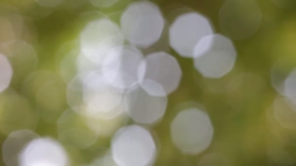 des images floues d'un fond abstrait de couleurs floues  