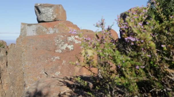 Мальовничий Вид Долину Спустошення Брудною Дорогою Камінням Небом Південній Африці — стокове відео