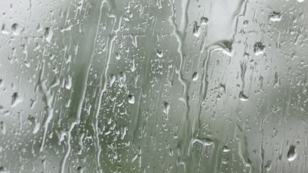 Close Footage Water Droplets Window Glass Blurred Background — Stock Video