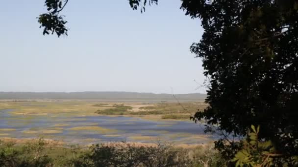 Riprese Panoramiche Della Riserva Tsitsikamma Sud Africa — Video Stock